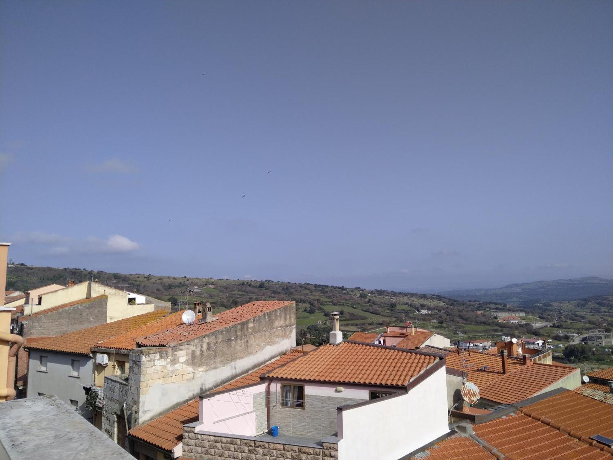 Bed and Breakfast Sa Pruninca Villanova Monteleone Экстерьер фото
